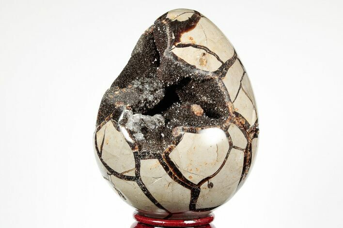 Septarian Dragon Egg Geode - Black Crystals #191483